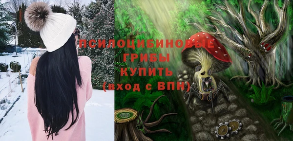 a pvp Мегион