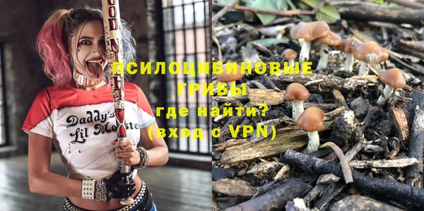 спиды Медвежьегорск