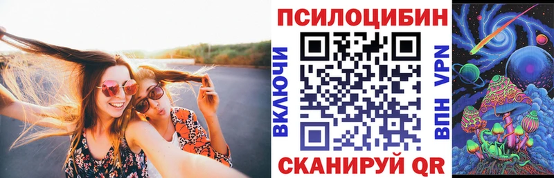 Купить  Сосновка  Псилоцибиновые грибы GOLDEN TEACHER 